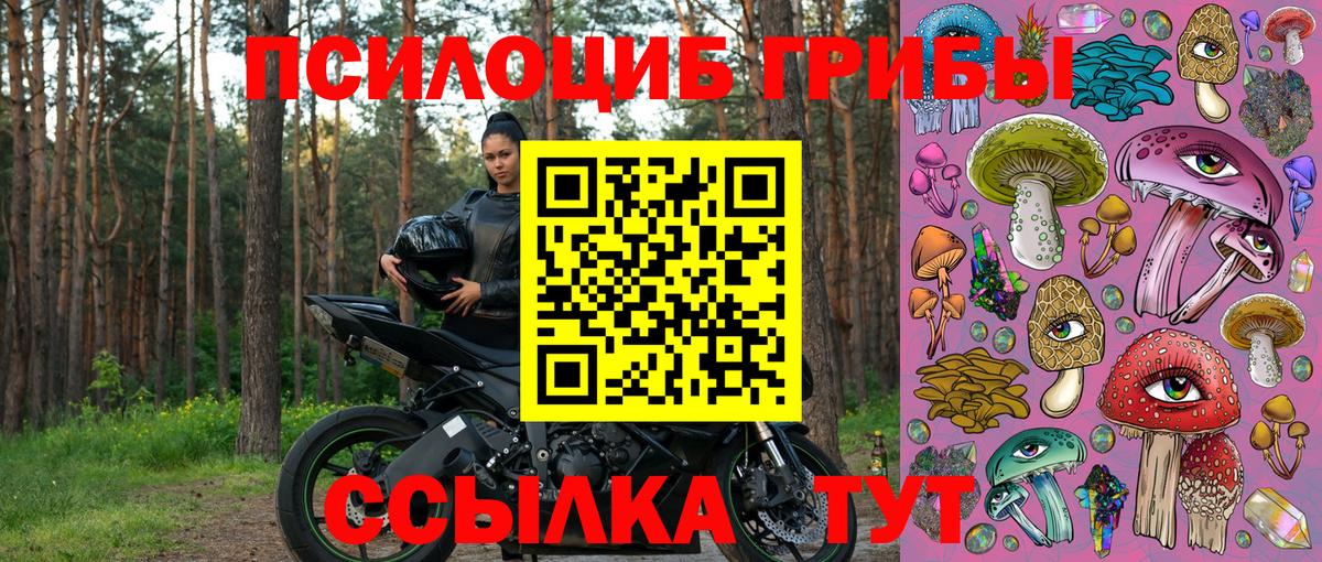 Магадан  наркотики  Вход с VPN  Псилоцибиновые грибы Magic Shrooms  Галлюциногенные грибы Psilocybine cubensis 